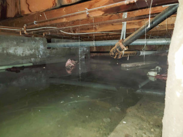 Water damage restoration process in Fridley, MN