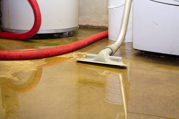 Best Water damage contractors near me  in Fridley, MN
