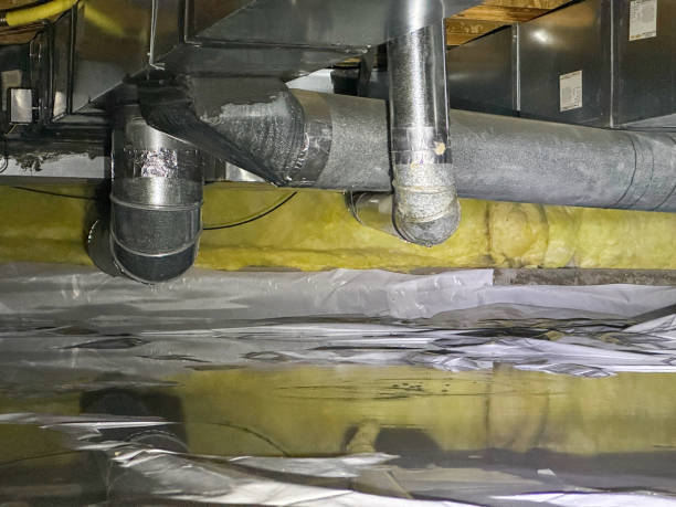 Best Mold removal after water damage  in Fridley, MN